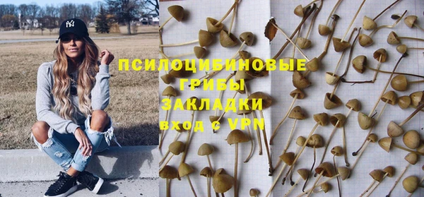 эйфоретик Михайлов
