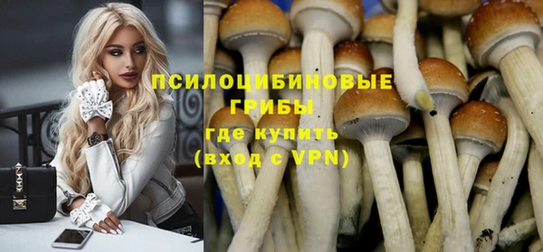 эйфоретик Михайлов