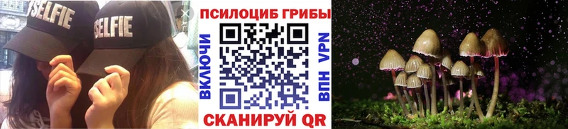МЕГА как войти  Сертолово  Псилоцибиновые грибы Psilocybe 